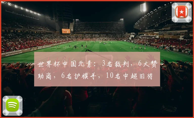 世界杯中国元素：3名裁判，6大赞助商，6名护旗手，10名中超旧将