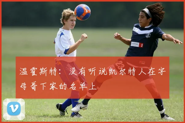 温霍斯特:没有听说凯尔特人在字母哥下家的名单上